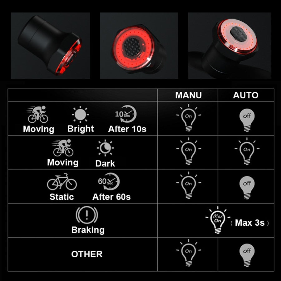 NEWBOLER Smart Bicycle Rear Light Auto Start/Stop Brake Sensing IPx6 Waterproof USB Charge cycling Tail Taillight Bike LED Light I Tesori Del Faro