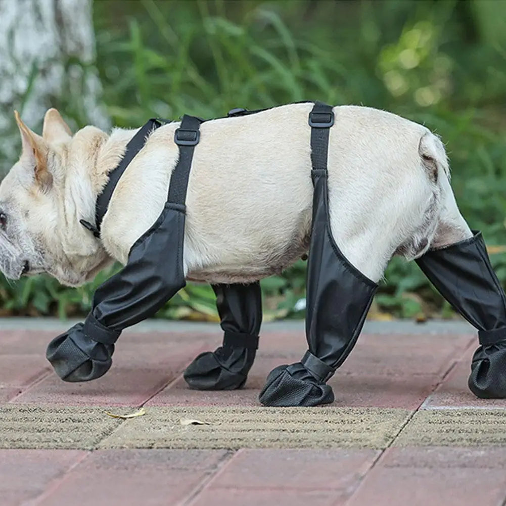 Scarpe per cani antiscivolo