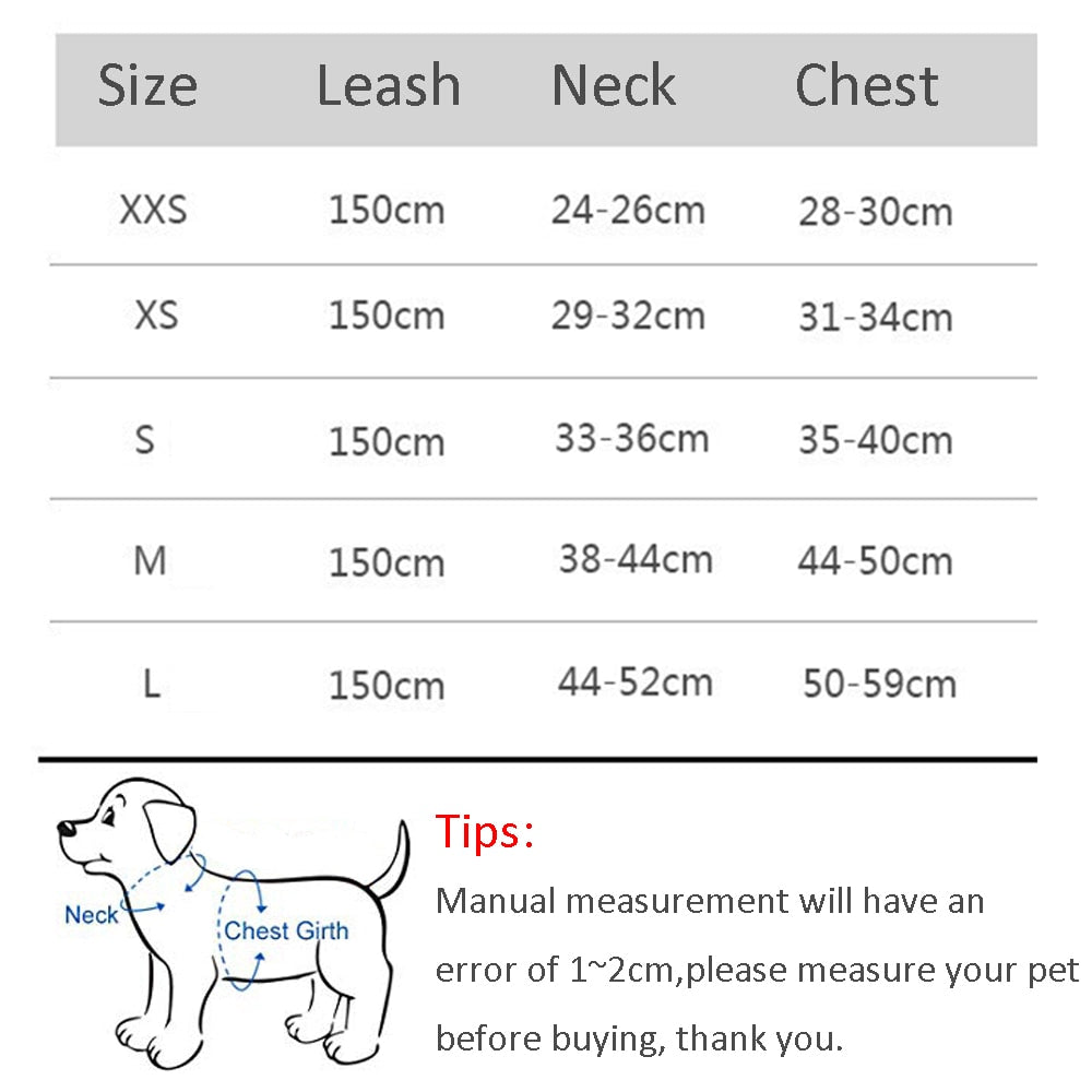 Set di guinzagli per cani di piccola taglia